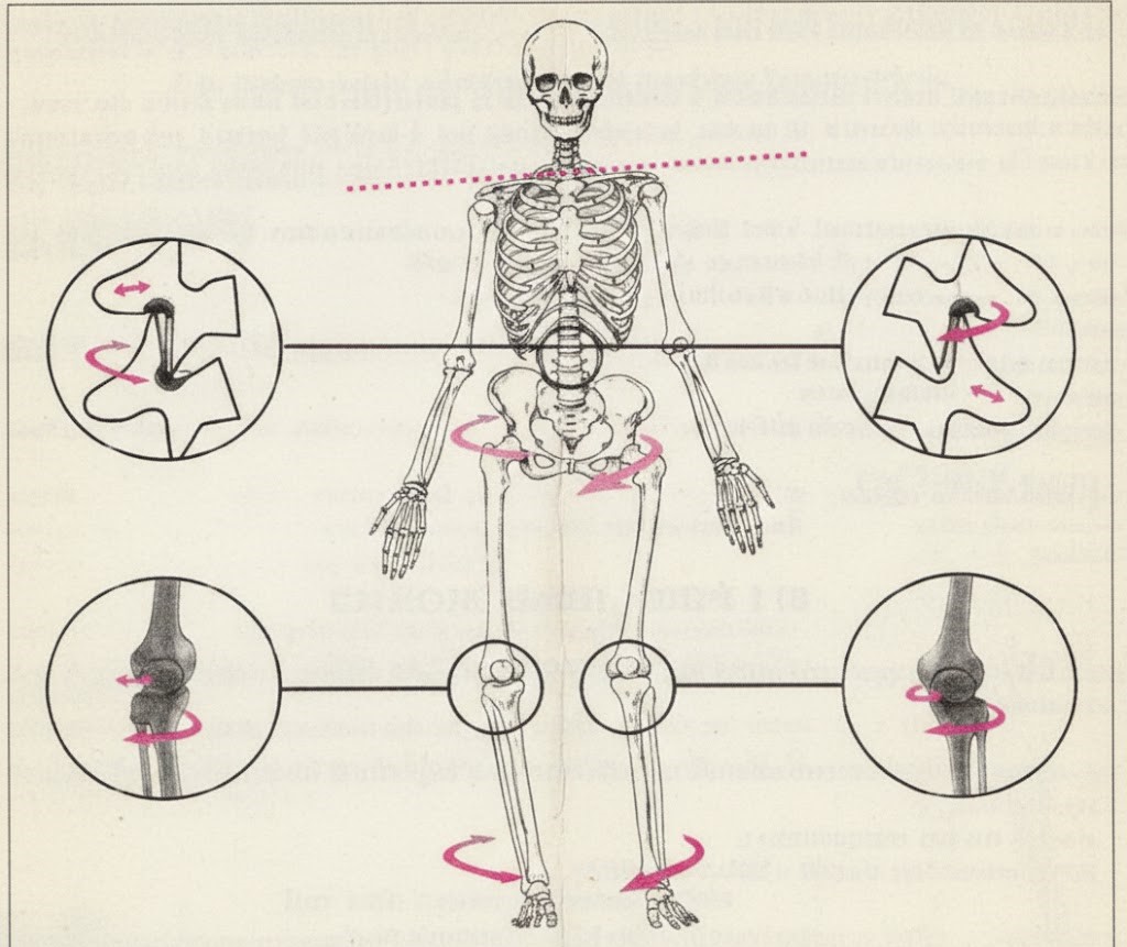 Riprogrammazione Posturale